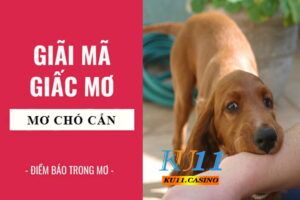 mơ thấy chó cắn