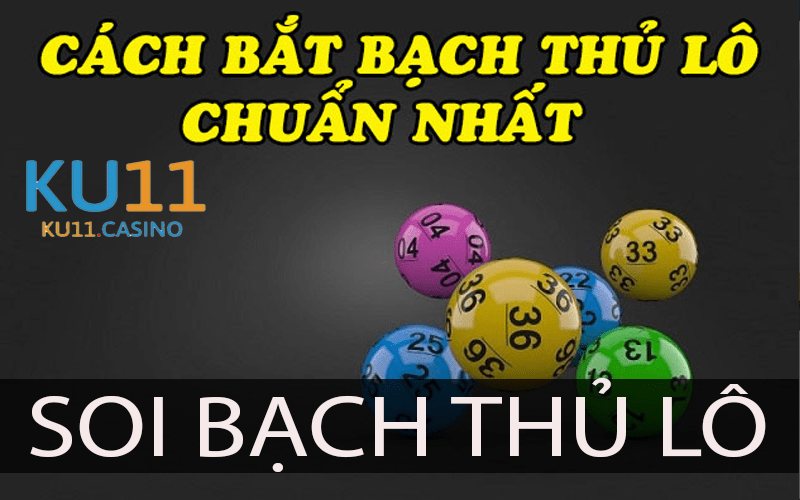 Ku11 soi bạch thủ lô